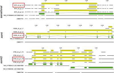 A de novo Transcriptome Assembly of the European Flounder (Platichthys flesus): The Preselection of Transcripts Encoding Active Forms of Enzymes